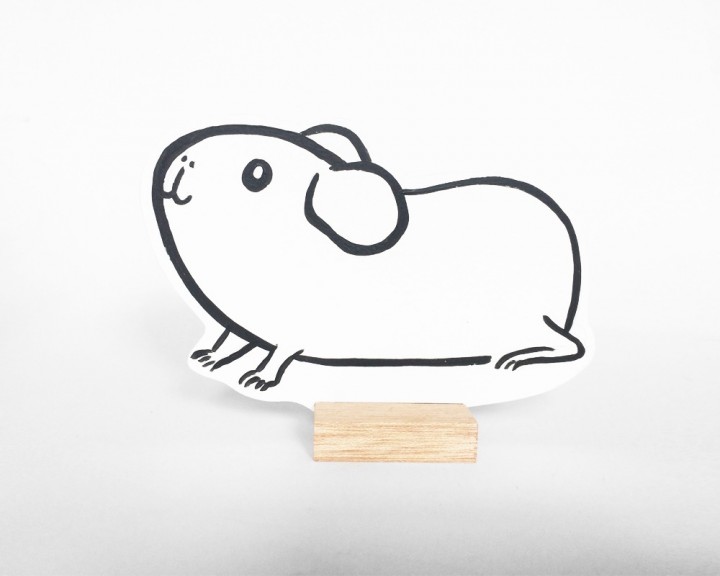 Cavia Floris Roses Are Red